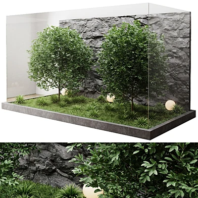 Plants behind the glass