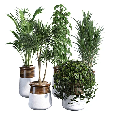 Indoor plant set 33