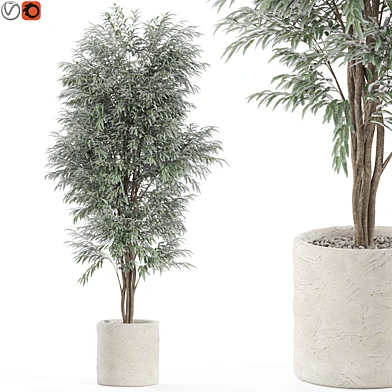 Plants collection 971