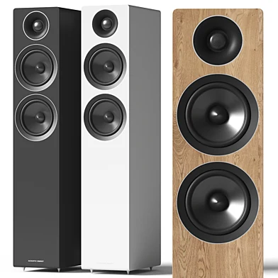 Acoustic Energy AE 309