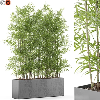 Plants collection 973