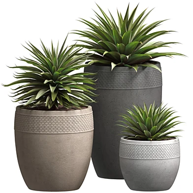Красивое декоративное Растение Агава в горшках Restoration Hardware.Modern Flowerpot