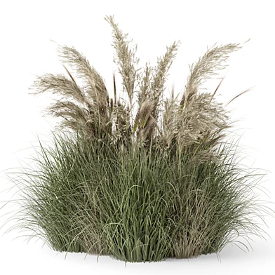 Outdoor Plants Bush -Bush Set 1638