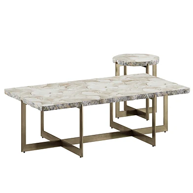 PALECEK Durham Fossilized Clam Coffee Table