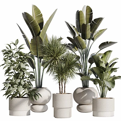 indoor plant set 73