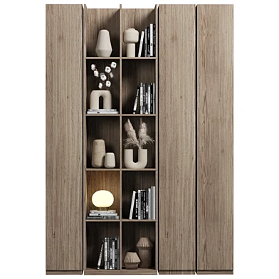 Cabinet with shelves 078