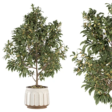 indoor plant 3