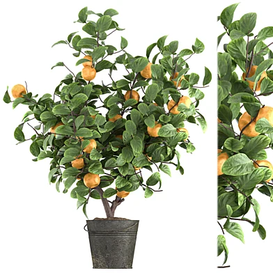 Indoor Plant Set 42