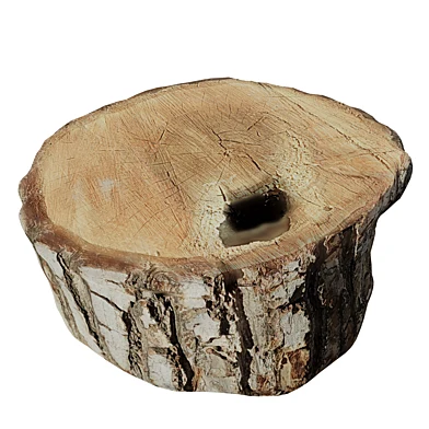 trunk 81