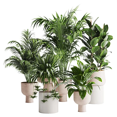 Indoor Plant Set 03