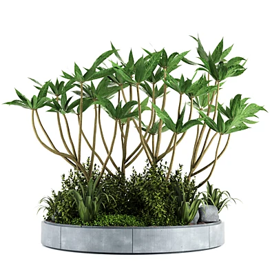 Out Door Plants tree and bush set02