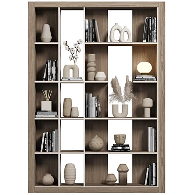 Cabinet with shelves 083