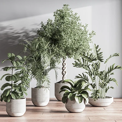 IndoorSetPlant050