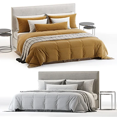 Meridiani Stone Bed