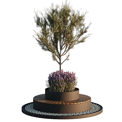 Outdoor Plants for lansdcape