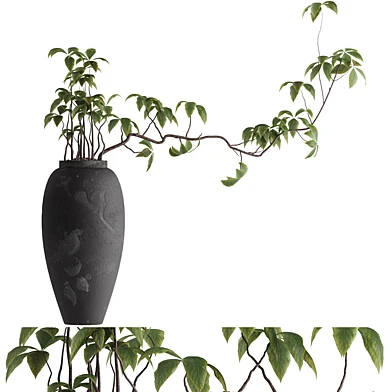 Indoor Potted Plants 11