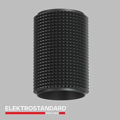 ОМ Накладной потолочный светильник Elektrostandard DLN112 GU10 Spike