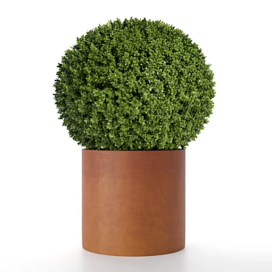 treez plants set 41