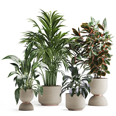 Indoor Plant Set 05