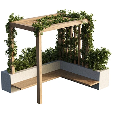 OutDoor plants - 3&nbsp; Pergola plants set