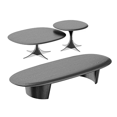 Anish Wood Coffee Table set by Minotti