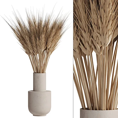 Minimal Dry Bouquet Of Wheat 18