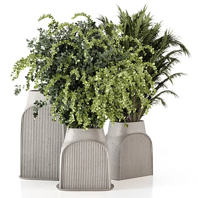 Indoor Bouquet Collection Plants  - Set 2030
