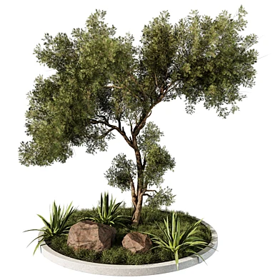 Outdoor Plant 266