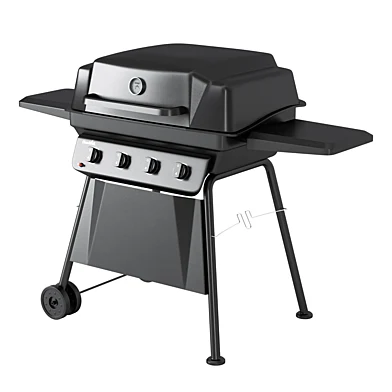 Barbecue 56