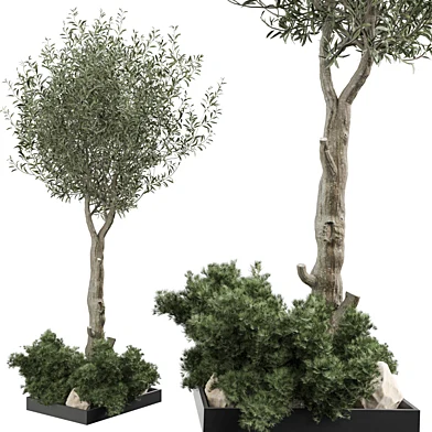 Outdoor Plant 271