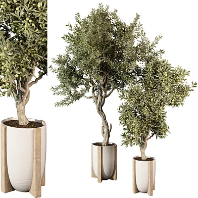 indoor Plant 503