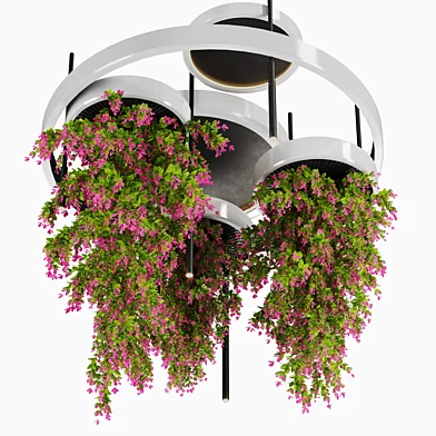Indoor plants-Hanging plants set-28