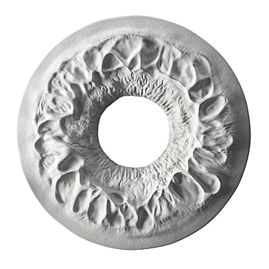 Eye iris sculpture