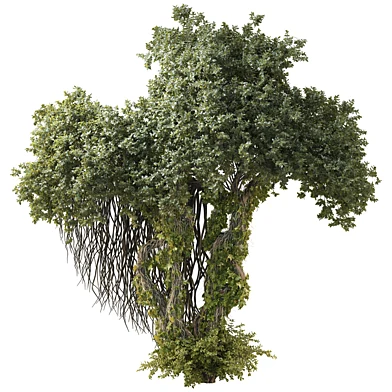 Jungle Tree and ivy plants 320