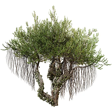 Jungle Tree and ivy plants 325