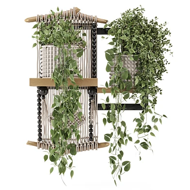 Decorative Hanging Macrame  With Plants - Set 2256