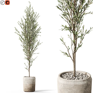 Plants collection 1094