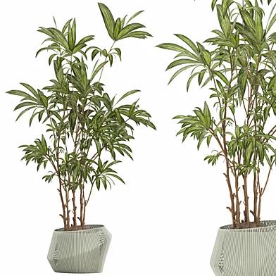 Plant in a stone pot