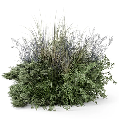 Outdoor Plants Bush -Bush Set 2430