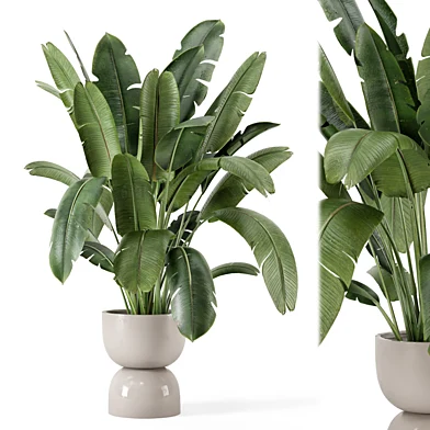Indoor Plants in rusty Concrete Pot - Set 2457