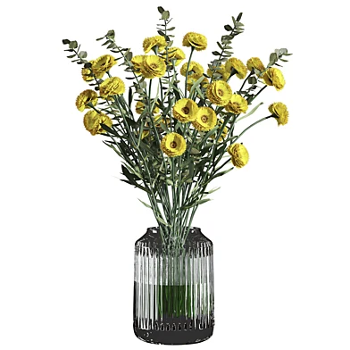 Plants Set 10