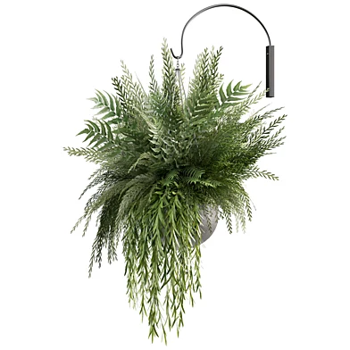 Indoorplants-Hanging set-72