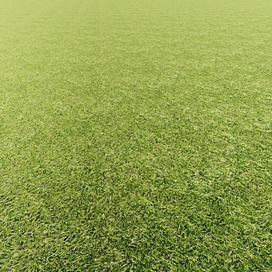 Grass texture seamless pbr 110 4k