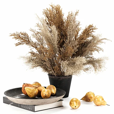 fruit set pear and pot pompas