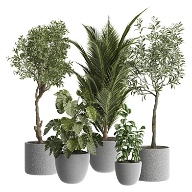 indoor Plant 585
