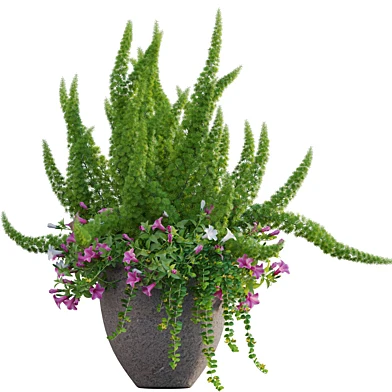 Pot plant 01