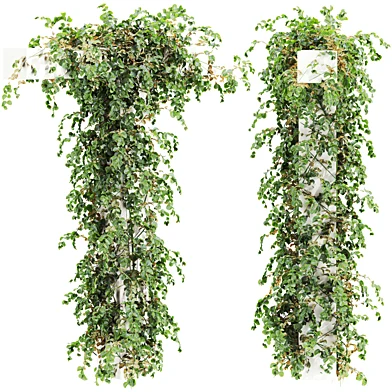Plants Set 202