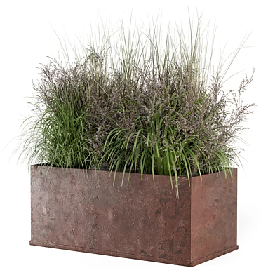 Outdoor Plants in Rusty Metal Pot_Set 2797