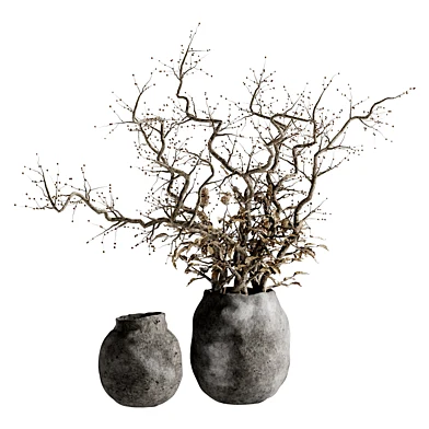 indoor dry bonsai 03