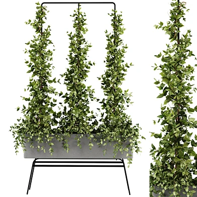 Outdoor Plants-Ivy Plant set38